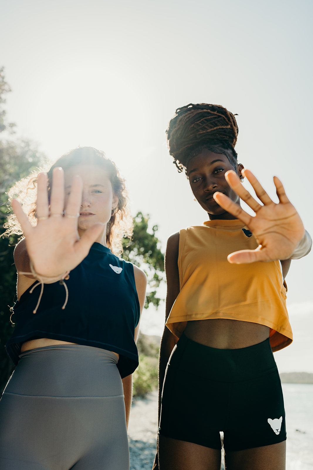 the Lioness pounce shorts :: leg logo